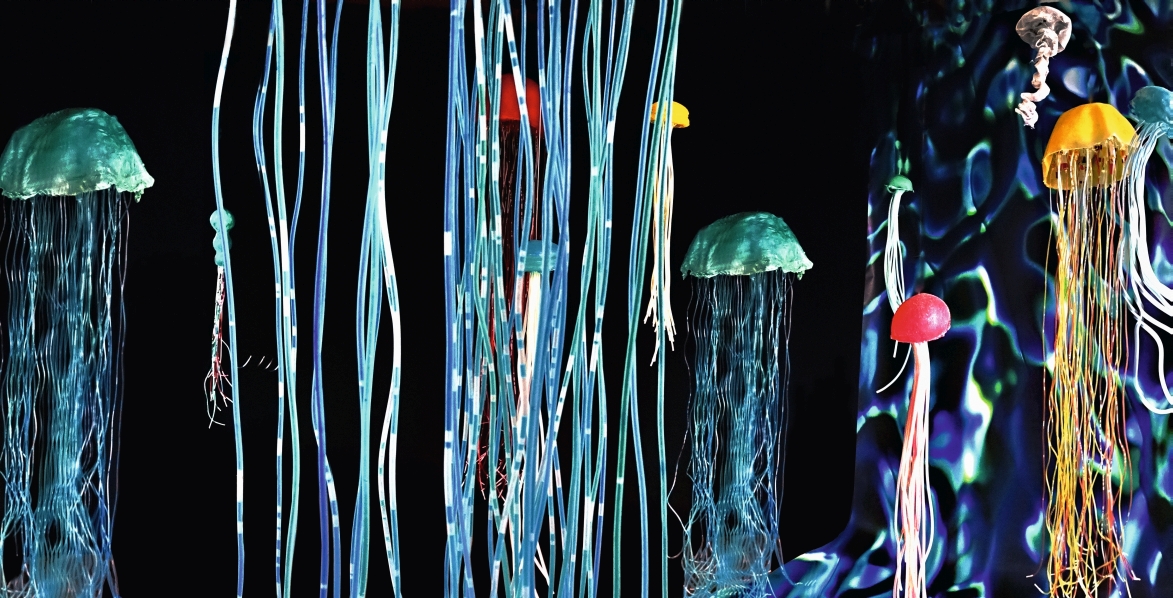 plane340x173_medusen_cmyk_s