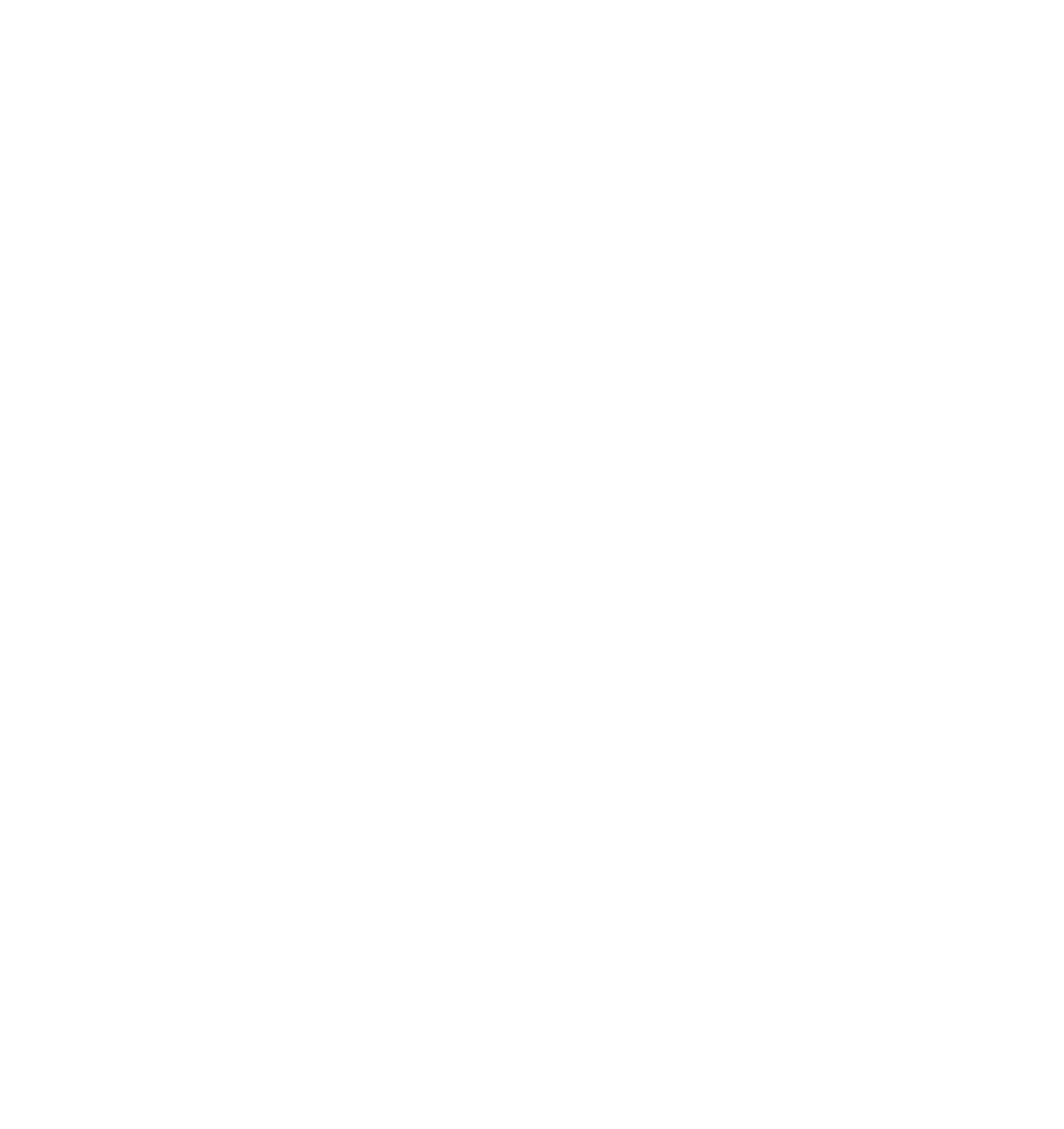 50Jahre weiss