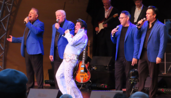Foto_1000x667_Elvis_2
