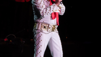 Foto_1000x667_Elvis_3